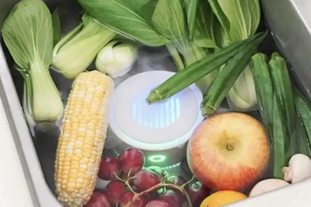 Vegetable and fruit electrolytic tablets